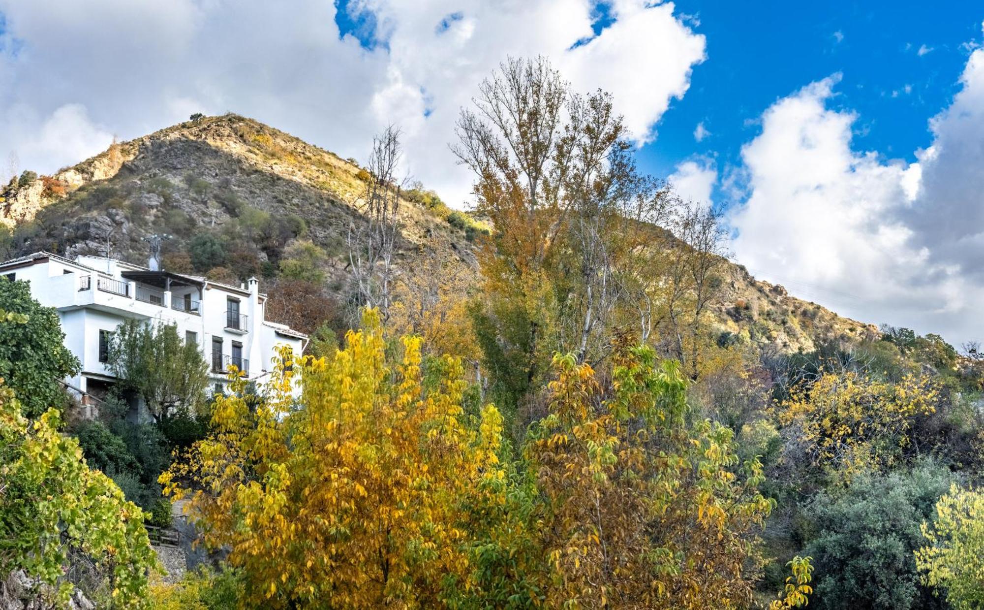 Casa Rural Arroyo De La Greda Гуэхар-Сьерра Экстерьер фото